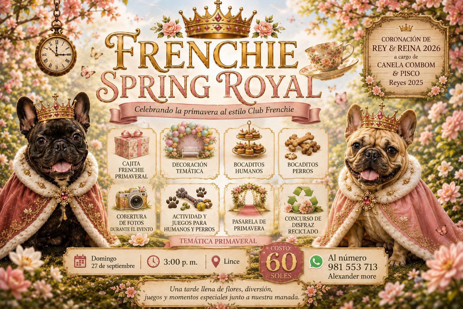 Qué incluye PRIMAVERA FRENCHIE